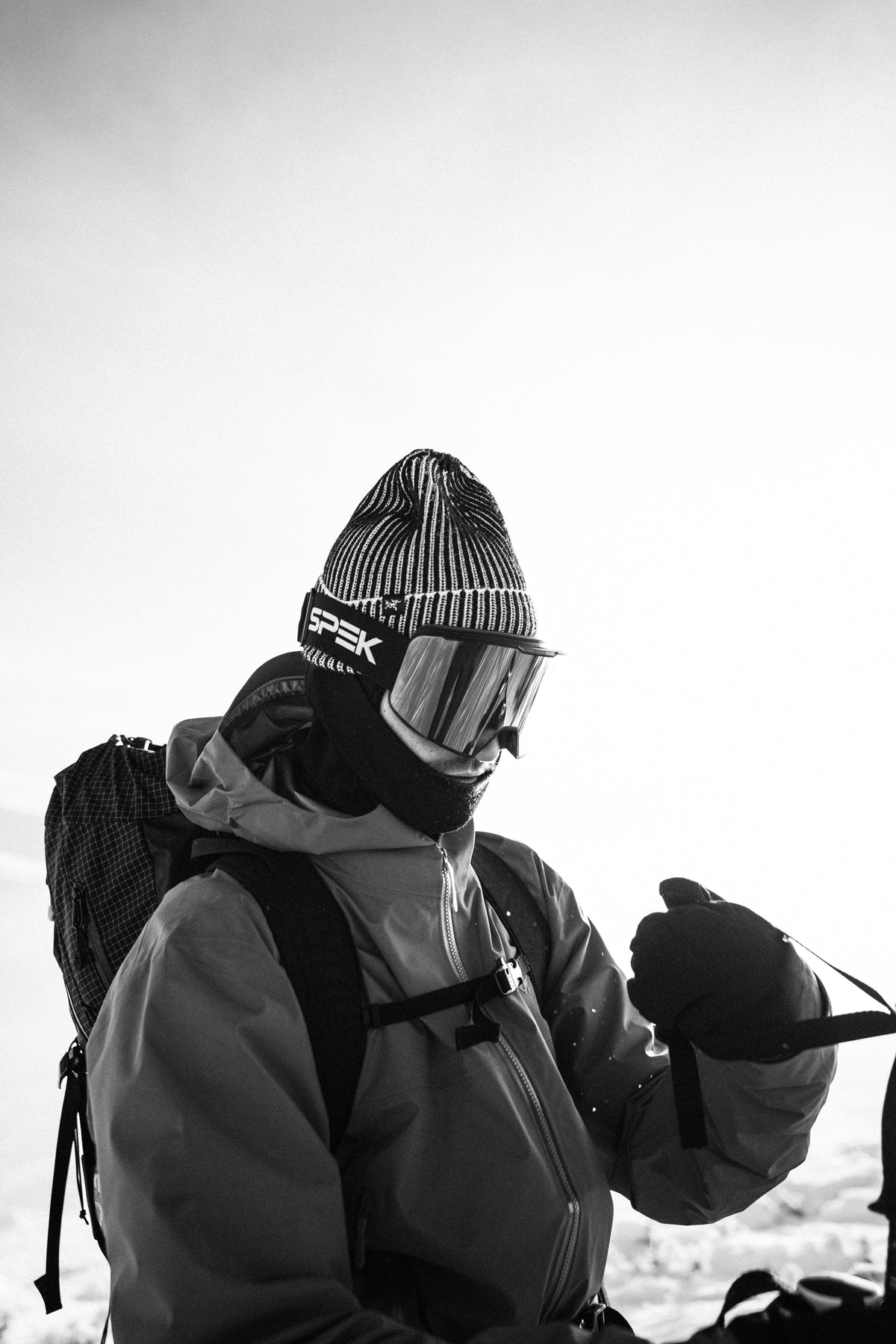 Snow goggles
