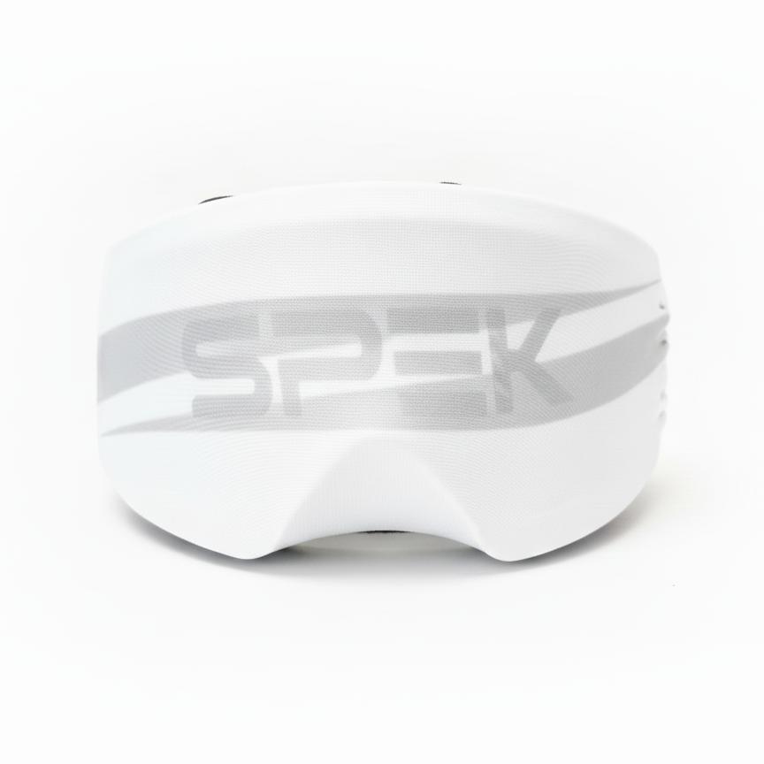 Ski goggle case