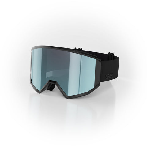 ARTIC snow goggle